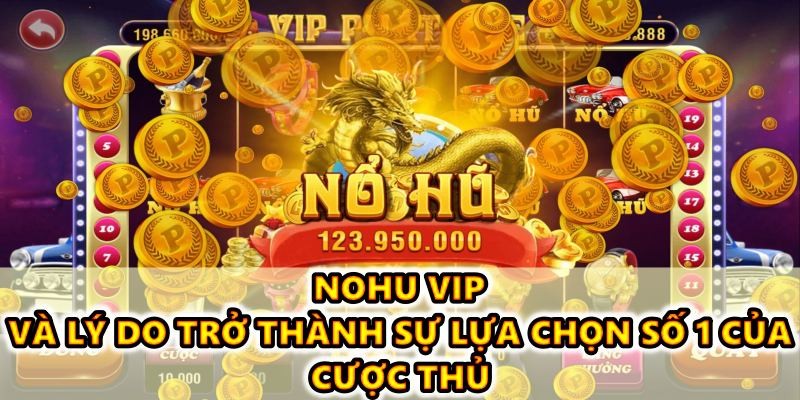 Nohu vip và lý do trở thành sự lựa chọn số 1 của cược thủ