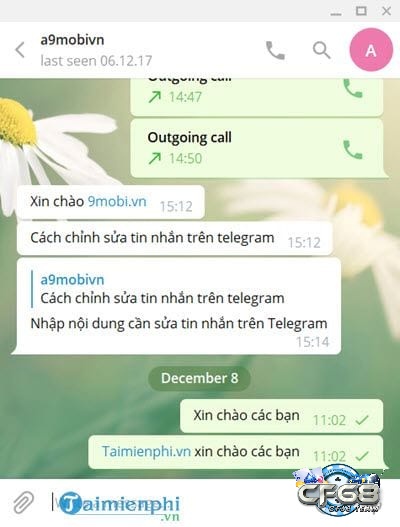 Download telegram cho máy tính - Đơn giản cùng với Cf68.team