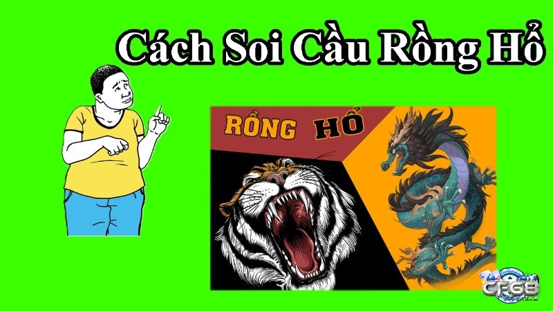 6 cách soi cầu rồng hổ hiệu quả nhất hiện nay