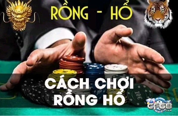 Hướng dẫn choi rong ho chi tiết