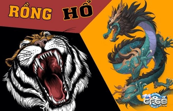 Rồng Hổ có tên tiếng Anh là Dragon & Tiger