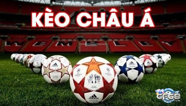 Khi đọc kèo nhà cái Châu Á, bạn cần phải hiểu rõ những khái niệm cơ bản như tỷ lệ cược, tỷ số chấp, cửa trên và cửa dưới.