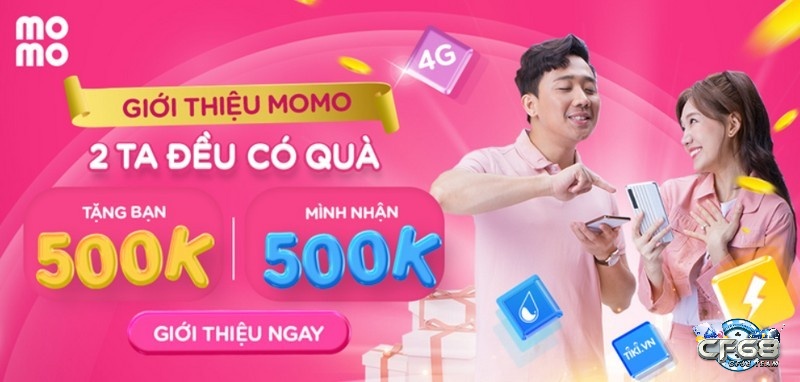 Công việc nhập mã momo là gì?