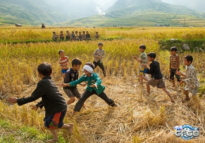 Các bạn nhỏ đang chơi bịt mắt bắt dê trên ruộng lúa