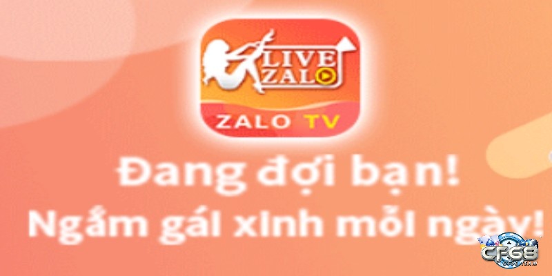 App Zalo Live - Ứng dụng xem live giải trí đẳng cấp hiện nay