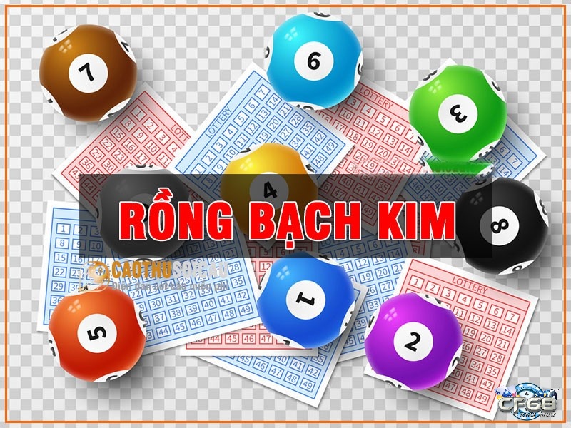 Những loại hình có ở Rồng bạch kim