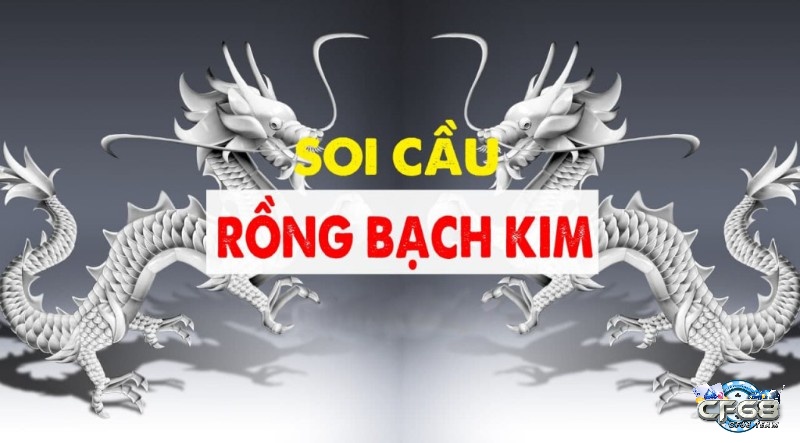 Soi cầu rồng bạch kim toàn diện