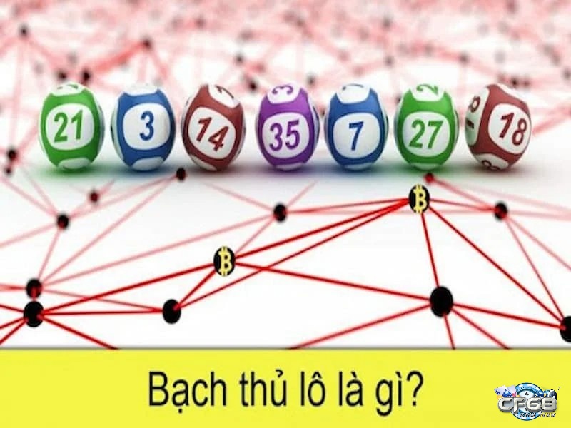 Lô bạch thủ là gì? 