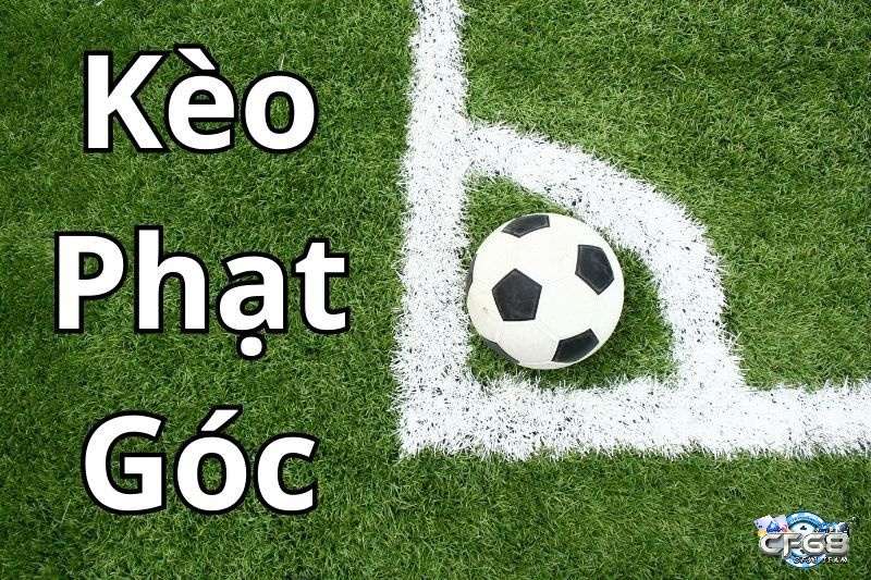 Tìm hiểu thông tin về keo phat goc là gì?