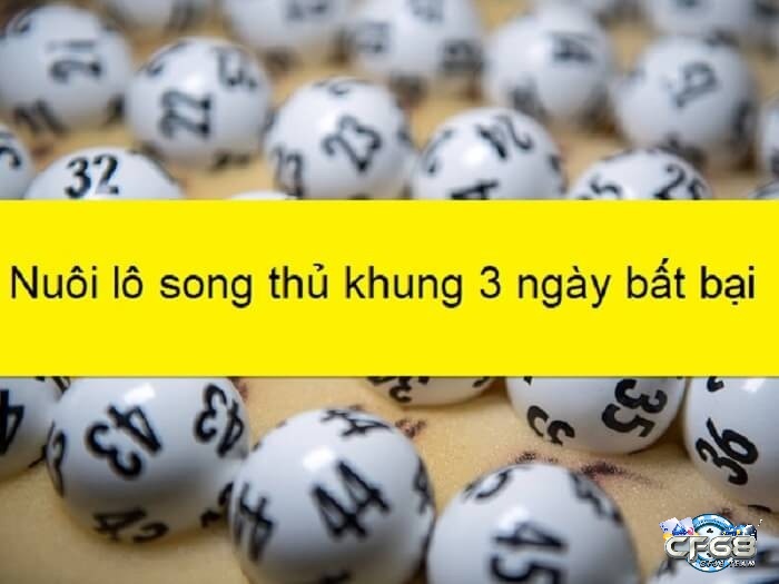 Cách nuôi lô song thu khung 3 ngay miễn phí chính xác nhất