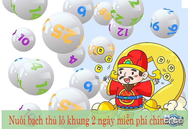 Nuôi bạch thủ lô khung giúp bạn tiết kiệm chi phí soi với dàn lô hàng ngày