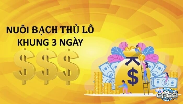 Nuôi lô Bạch Thủ trong 3 ngày liên tiếp thường được người chơi lô áp dụng