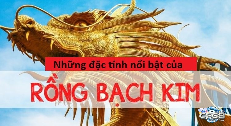 Những loại hình có ở rong back.kim