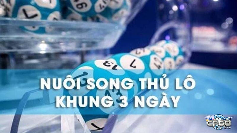 Chia sẻ phương pháp nuôi Song thủ khung 3 ngày