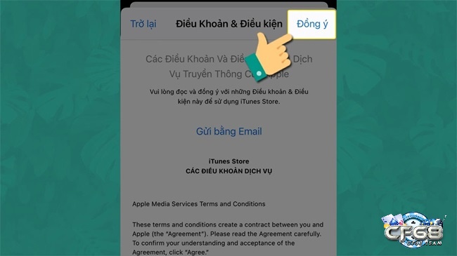 Chọn đồng ý về điều khoản và điều kiện