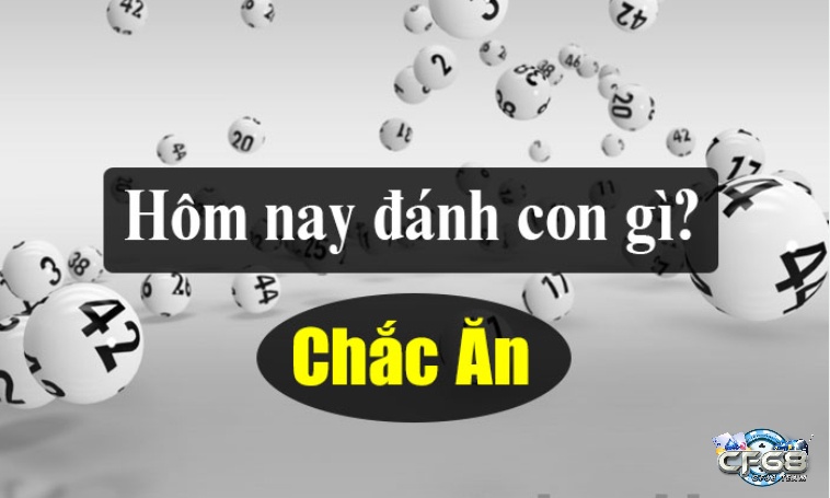 Đánh con gì hôm nay có những đặc điểm nổi bật gì?