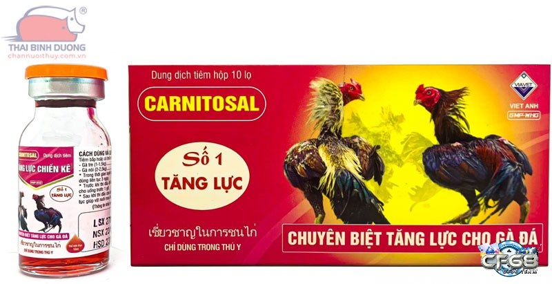 Tìm hiểu thông tin về các loại thuốc tăng lực cho gà đá