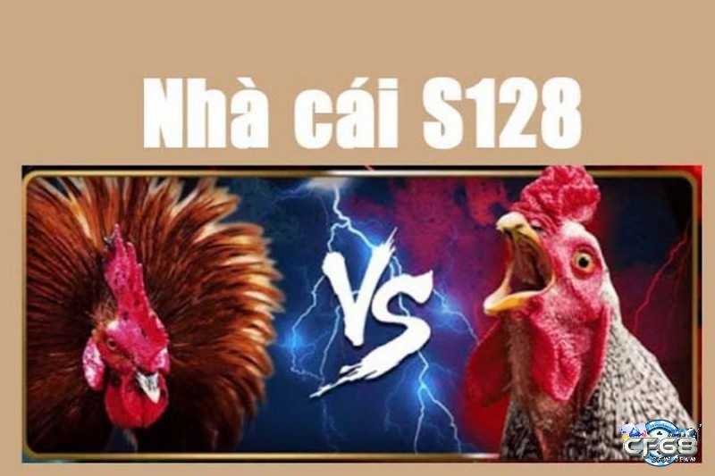 Đá gà S128 là một nhà cái đá gà đến từ Philippines