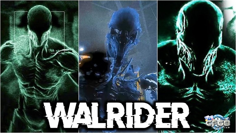 Walrider