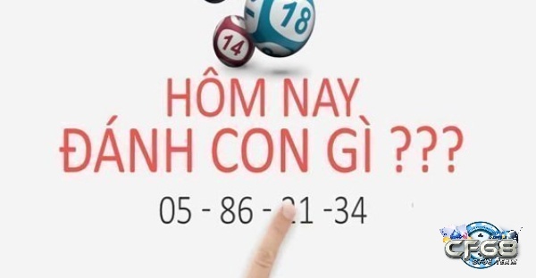 Lô đề hôm nay đánh con gì hiệu quả theo phương pháp nào?