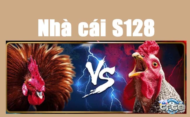 Cùng nhà cái CF68 chúng tôi tìm hiểu về đá gà S128vn nhé