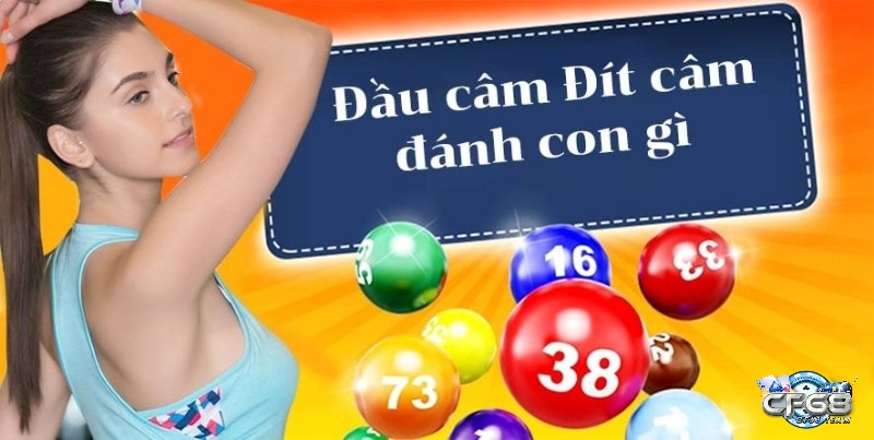 Lô đầu câm đánh con gì?