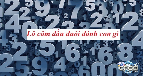 Cùng CF68 tìm hiểu về đầu đuôi câm là gì và lô đầu câm đánh con gì?