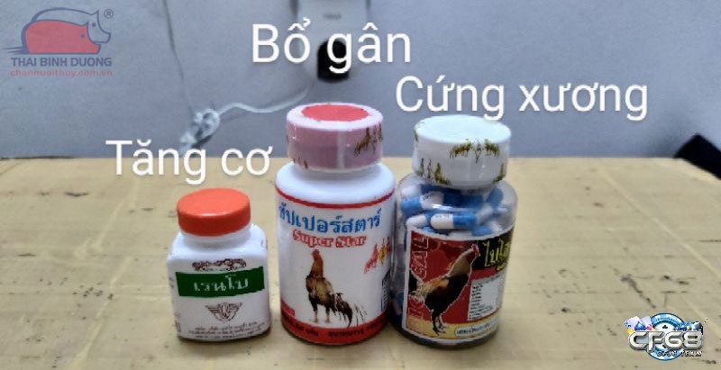 Thuốc gà đá giúp chắc xương tăng cơ